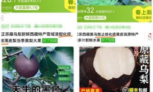 起底“藏乌梨”骗局：虚构的高原特产，普通梨高温加工而成